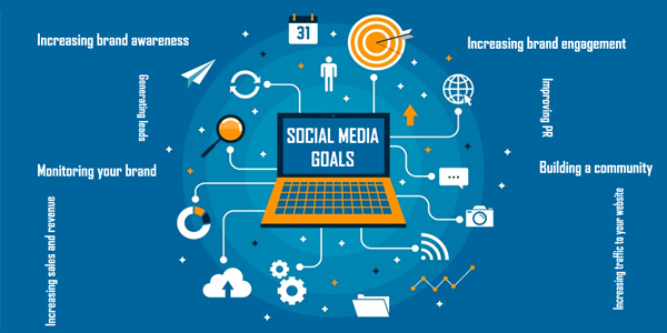Android App development Company in Jaipur